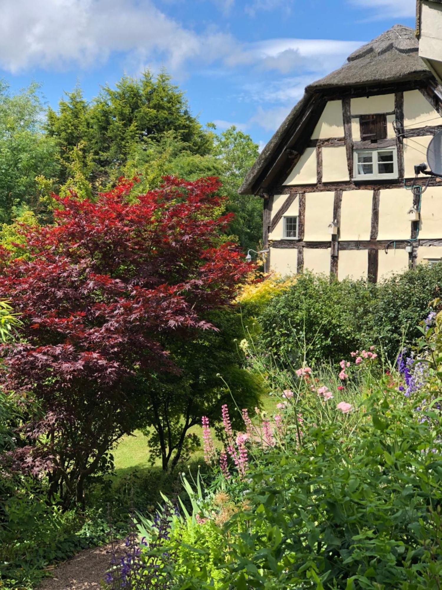 The Steppes Holiday Cottages Hereford Eksteriør billede