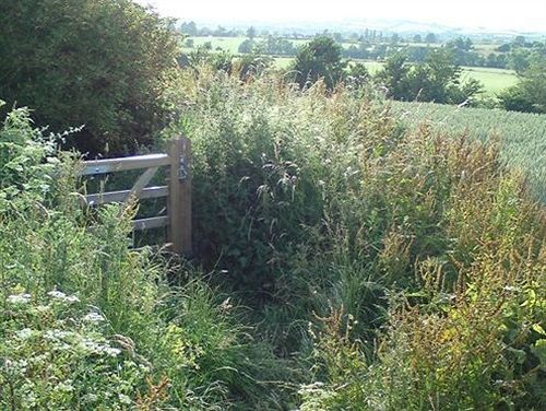 The Steppes Holiday Cottages Hereford Eksteriør billede