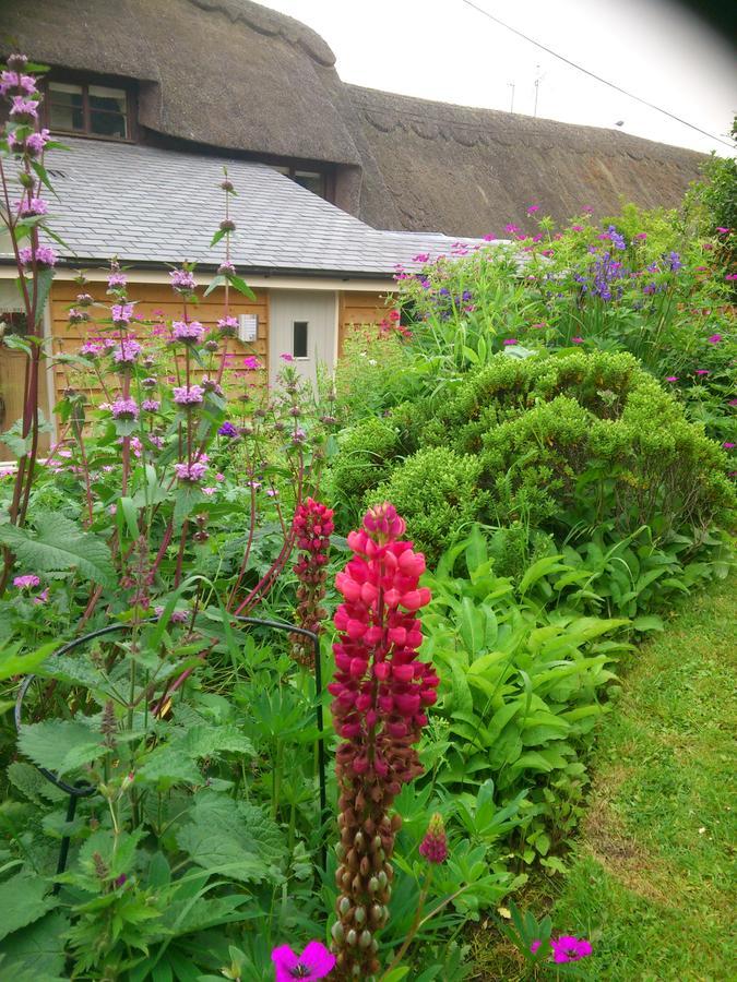 The Steppes Holiday Cottages Hereford Eksteriør billede