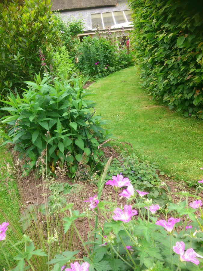 The Steppes Holiday Cottages Hereford Eksteriør billede